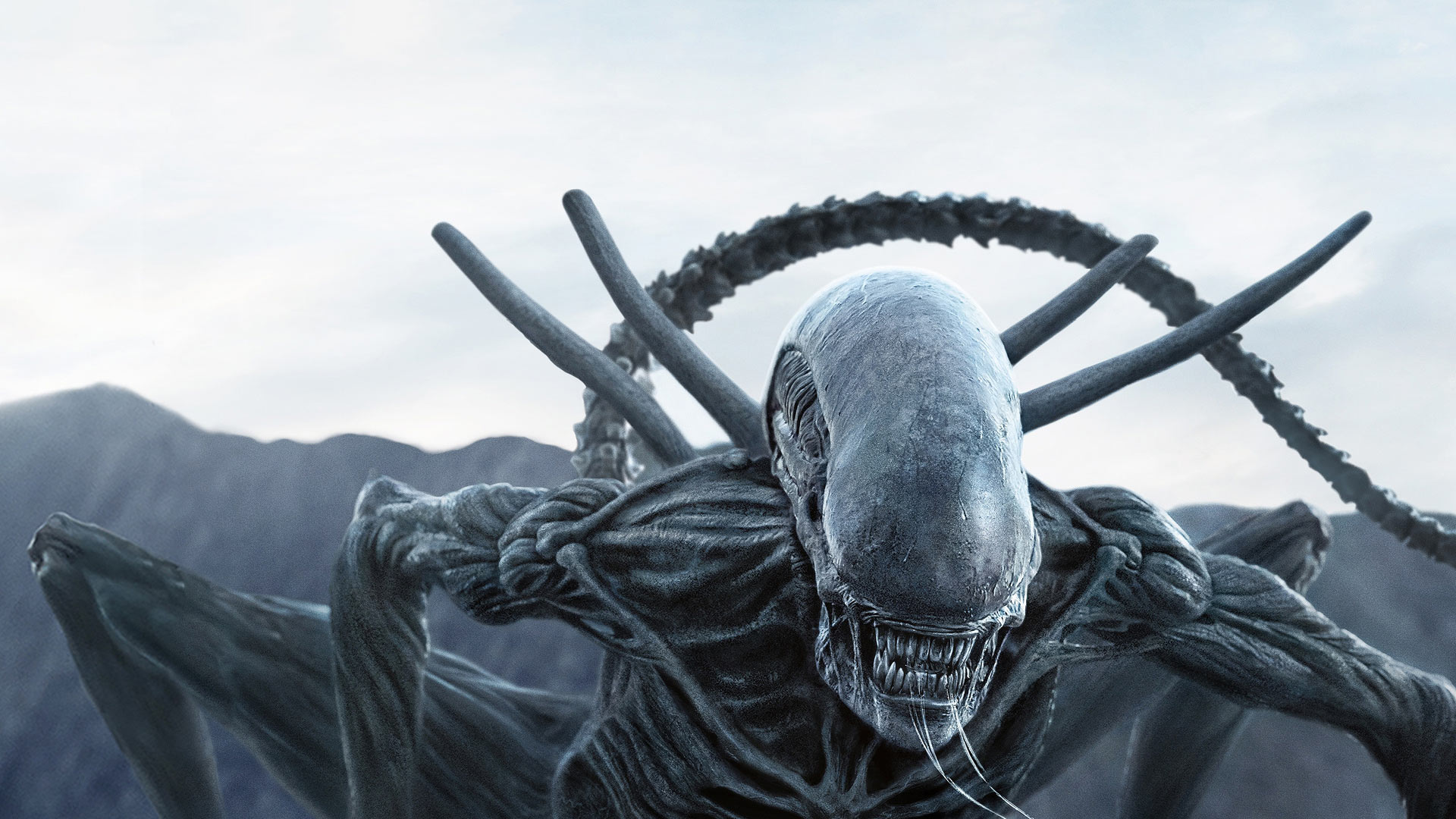 مایکل فاسبندر خواهان بازگشت به فرنچایز Alien است