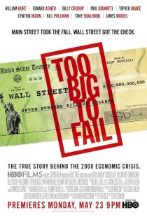 Too Big to Fail 2011